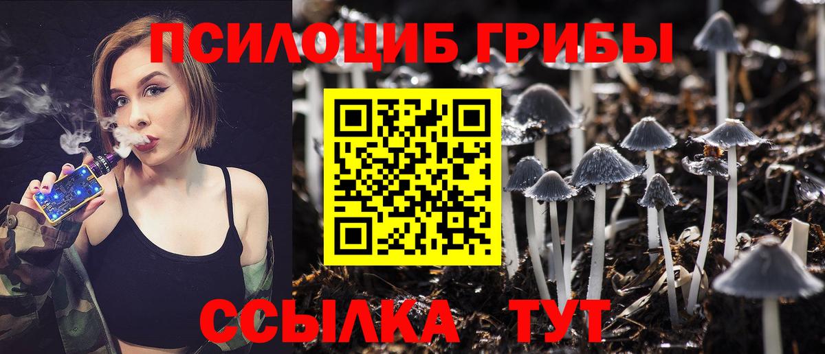Псилоцибиновые грибы мухоморы  Вход с VPN  Махачкала  Псилоцибиновые грибы прущие грибы 